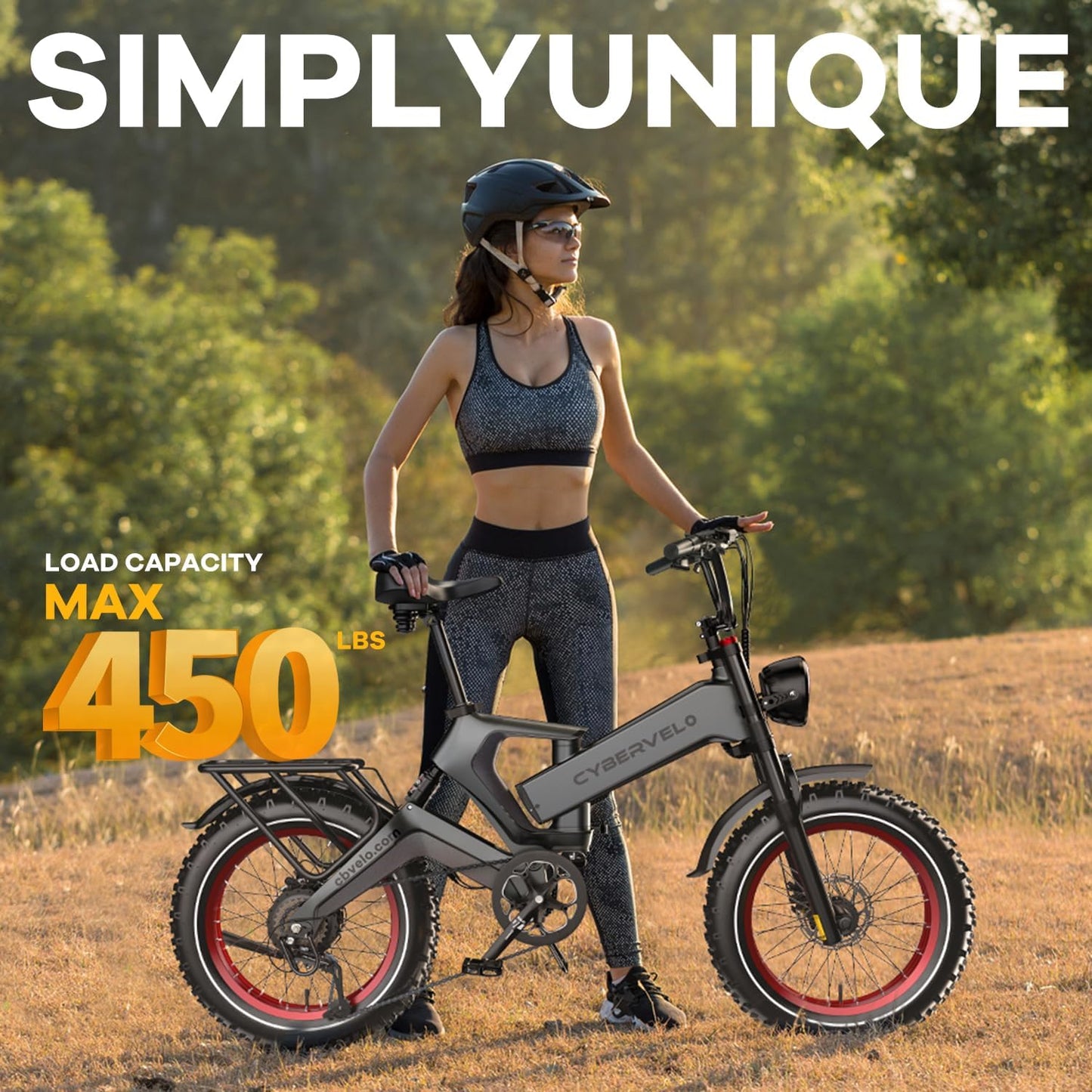 Smart Foldable E-Bike